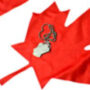 Canadian Battlefield Tours